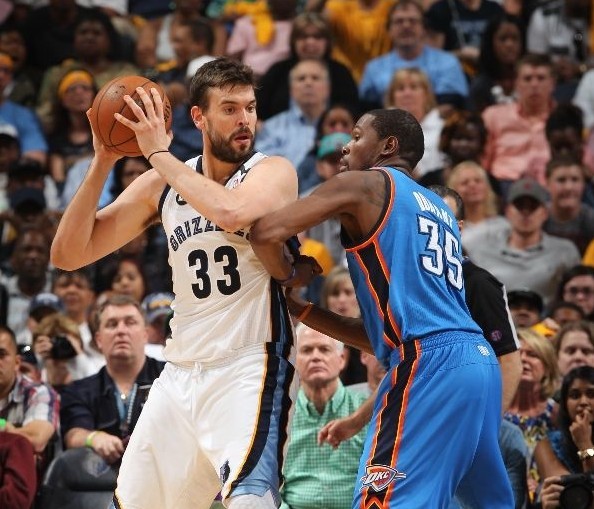 在各自领域 在各自领域