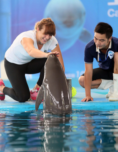 们的注意力 们的注意力